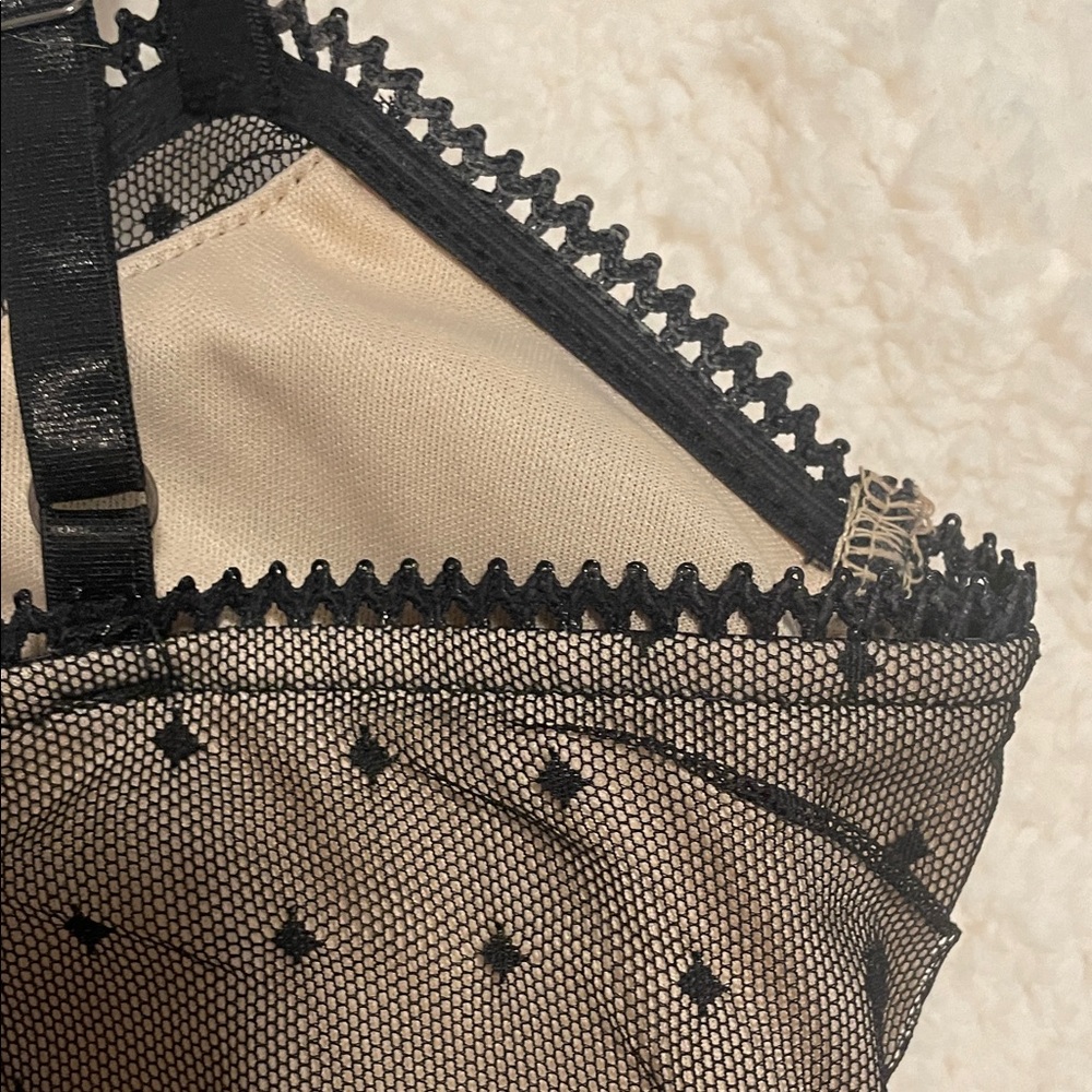 BKE Boutique Black Tan Lace Sheer Crop Top Corset Style Going Out Summer Top - Picture 7 of 10